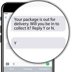 SMS Delivery Alert SMS API